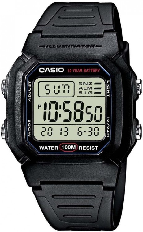 Наручные часы CASIO COLLECTION W-800H-1A