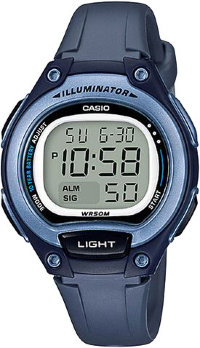 Наручные часы CASIO COLLECTION LW-203-2A