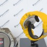 Наручные часы CASIO G-SHOCK GD-X6900HT-9E