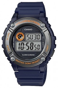 Мужские наручные часы CASIO W-216H-2B