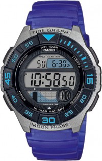 Наручные часы CASIO WS-1100H-2A