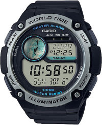 Наручные часы CASIO COLLECTION CPA-100-1A