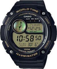Наручные часы CASIO COLLECTION CPA-100-9A
