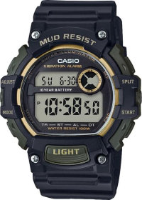 Наручные часы CASIO COLLECTION TRT-110H-1A2