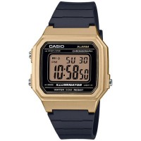 Наручные часы CASIO COLLECTION W-217HM-9A